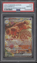 Dachsbun ex Pokemon Stellar Crown Special Illustration Rare #169 PSA 10